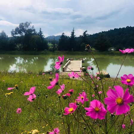 Cabanas Tapalpa Sierra Del Tecuan, Cabana Lince Eksteriør bilde