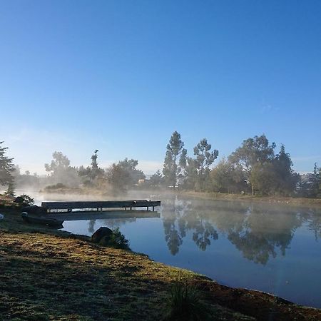 Cabanas Tapalpa Sierra Del Tecuan, Cabana Lince Eksteriør bilde