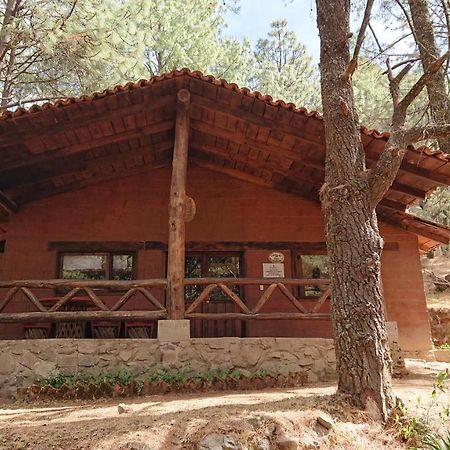 Cabanas Tapalpa Sierra Del Tecuan, Cabana Lince Eksteriør bilde