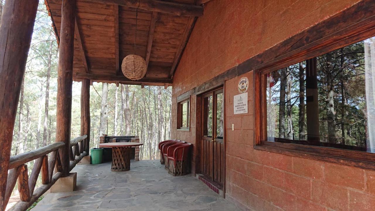 Cabanas Tapalpa Sierra Del Tecuan, Cabana Lince Eksteriør bilde