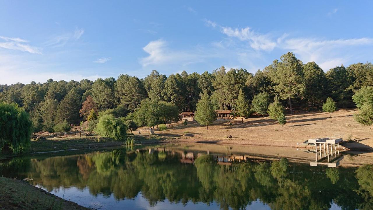 Cabanas Tapalpa Sierra Del Tecuan, Cabana Lince Eksteriør bilde