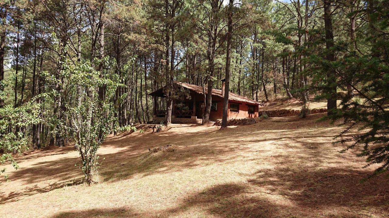 Cabanas Tapalpa Sierra Del Tecuan, Cabana Lince Eksteriør bilde