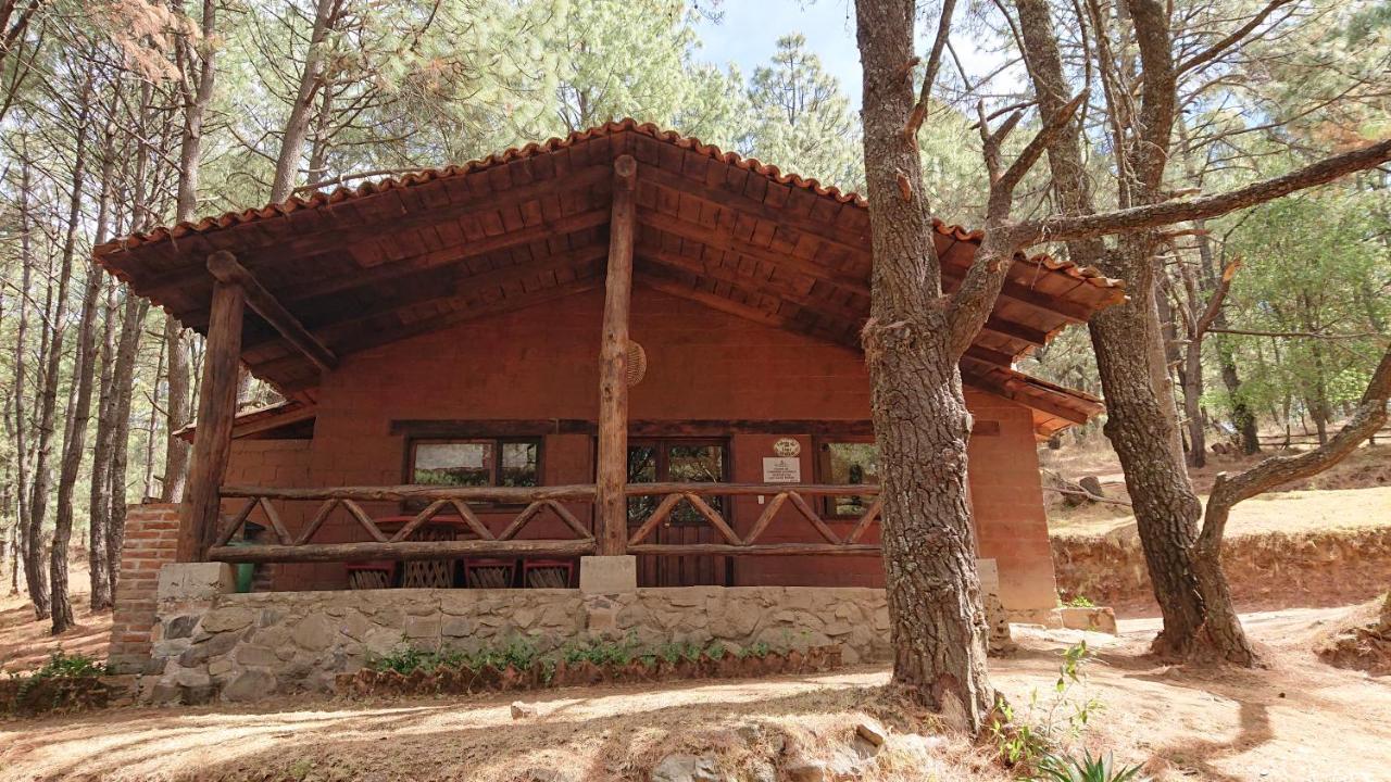 Cabanas Tapalpa Sierra Del Tecuan, Cabana Lince Eksteriør bilde