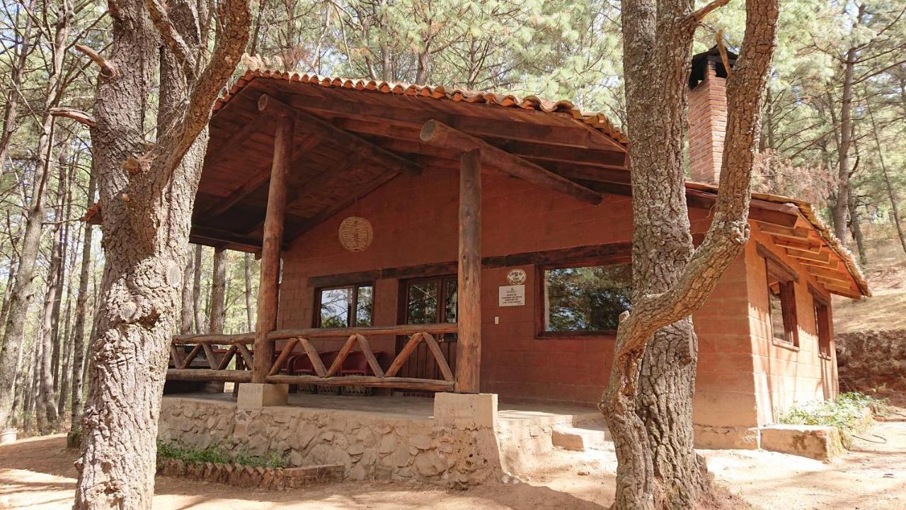 Cabanas Tapalpa Sierra Del Tecuan, Cabana Lince Eksteriør bilde